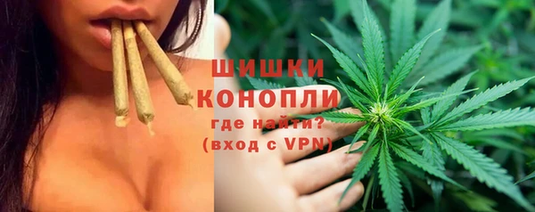 PSILOCYBIN Кинешма